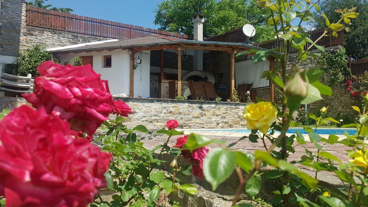Rosarium Residence Guest House Dryanovo Exterior photo