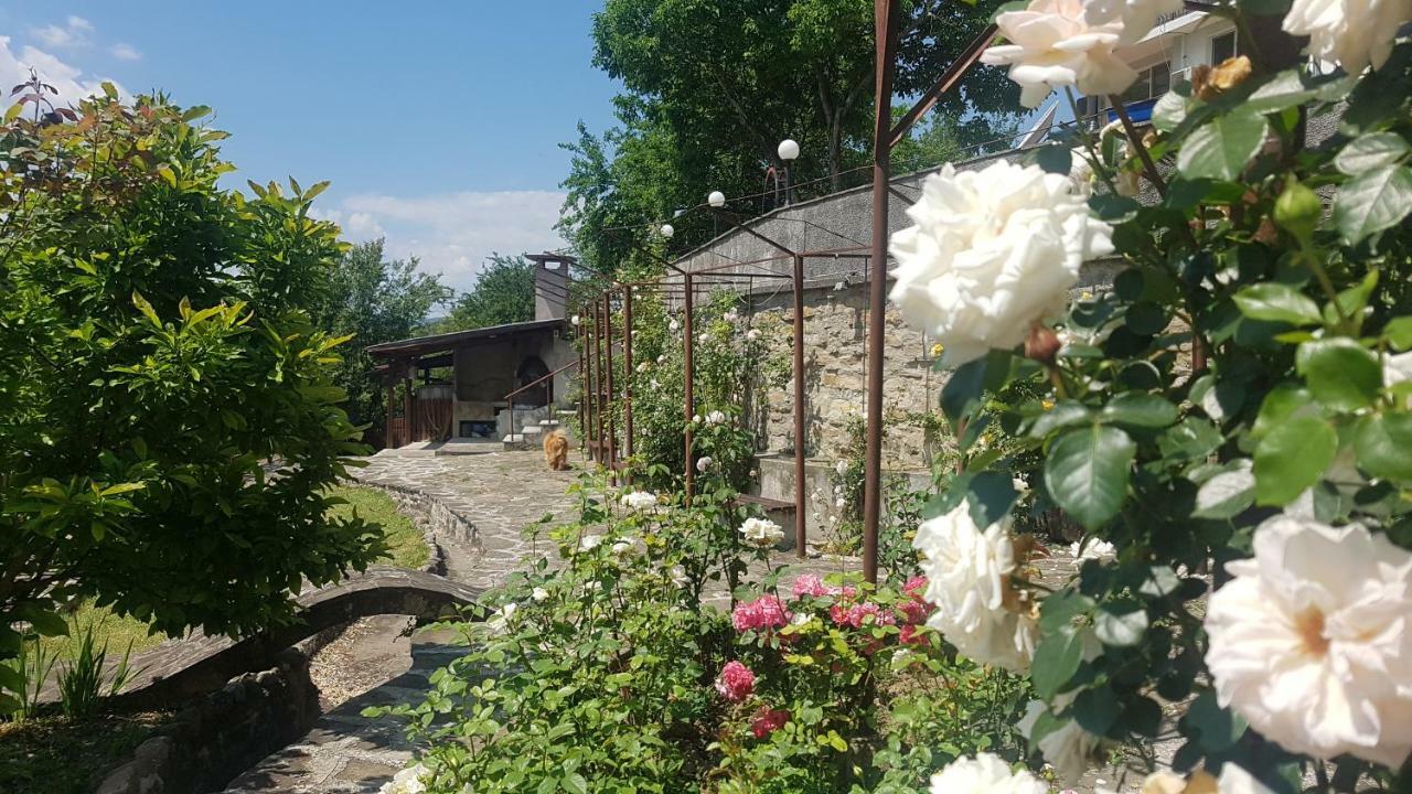 Rosarium Residence Guest House Dryanovo Exterior photo
